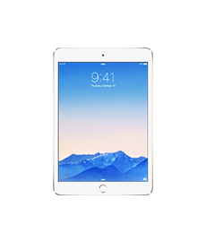 Apple iPad Mini 3 Software Reparatur