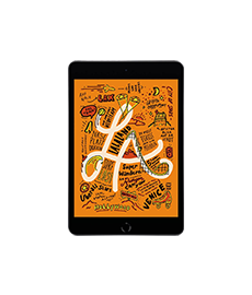 Apple iPad Mini 5 Software Reparatur