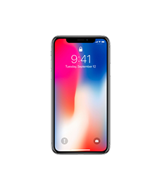 Apple iPhone X glass back with frame (original)
