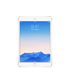 Apple iPad Mini 3 Diagnose / Kostenvoranschlag