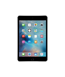 Apple iPad Mini 4 Software Reparatur