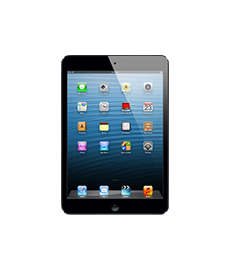 Apple iPad Mini Software Reparatur