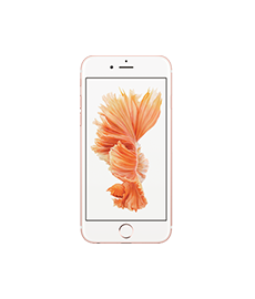 Apple iPhone 6S Display (Glas, Touch, LCD) Reparatur