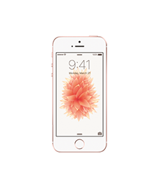 Apple iPhone SE Diagnose / Kostenvoranschlag