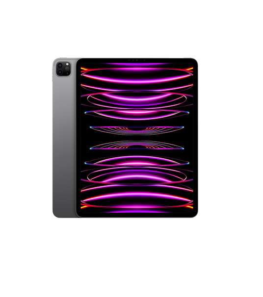 Apple iPad Pro 12.9 2022 6. Generation Display Reparatur (Original)