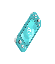 Nintendo Switch Lite Diagnose / Kostenvoranschlag