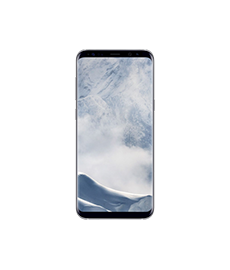 Samsung Galaxy S8 Plus Software Reparatur